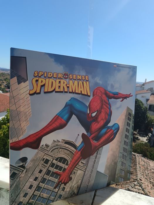 Quadro do SPIDER-MAN (Marvel)