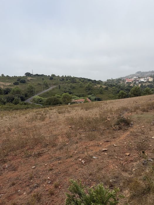 Quinta em Alenquer Arrendamento