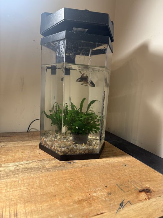 Aquario em perfeitos estados