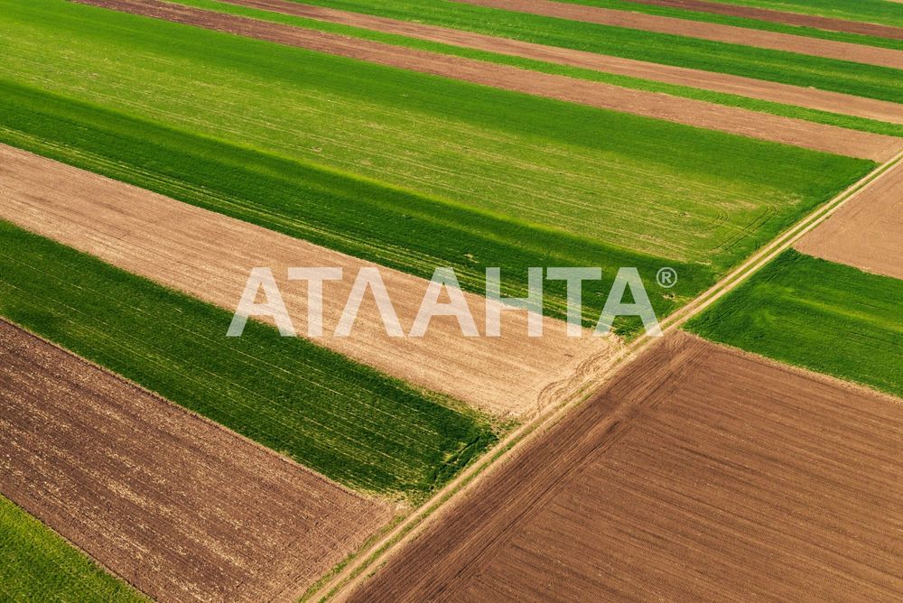 Ділянка в с розівка