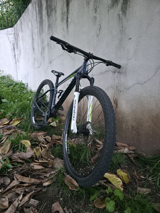 Rockrider xc100 29"
