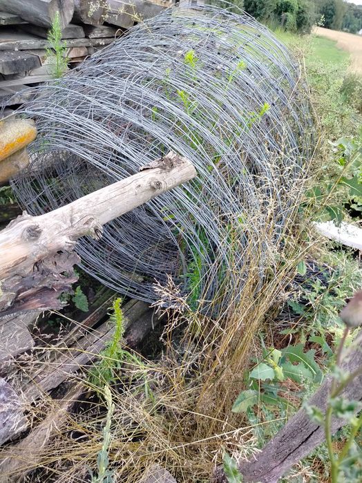 Siatka leśna różnej wielkości