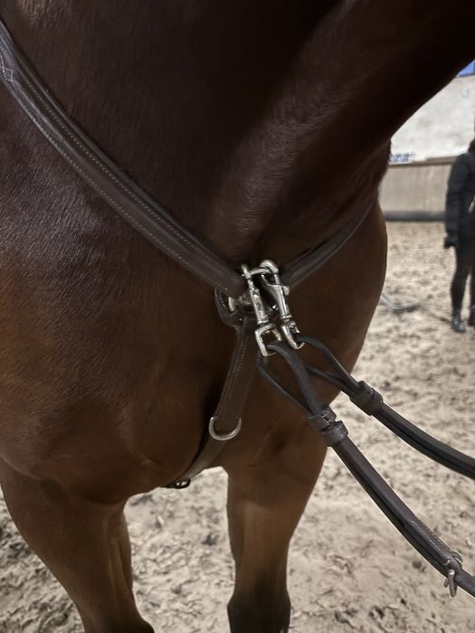 Napierśnik prestige