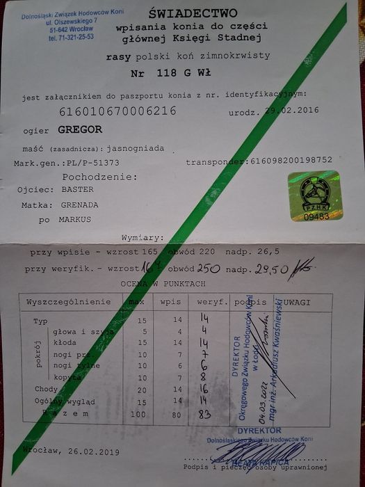 Stanówka ogiery pkz /sztum