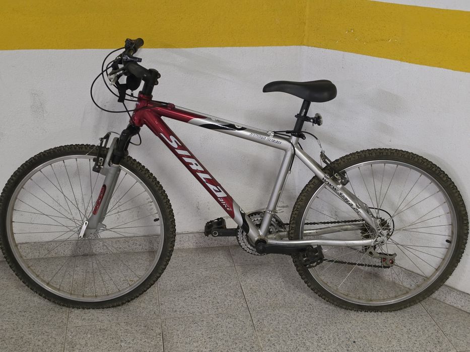 Bicicleta de montanha
