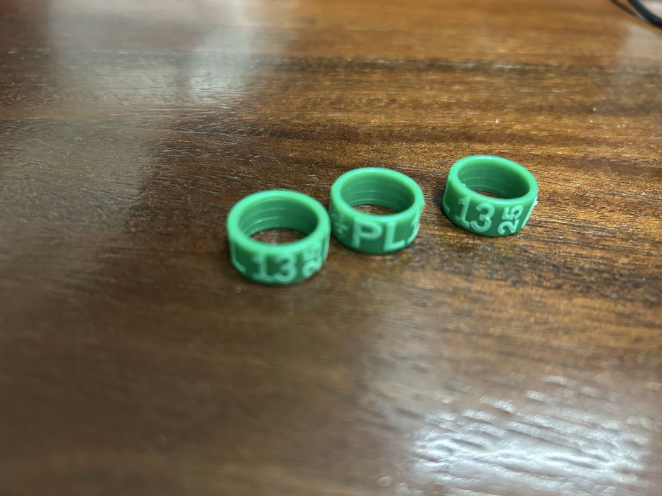 Obraczki dla drobiu ozdobnego 13 mm