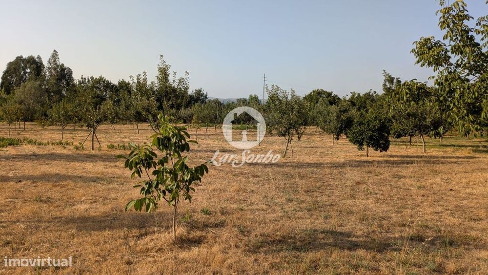 Terreno plano com 4.210m2 junto à cidade de Fafe