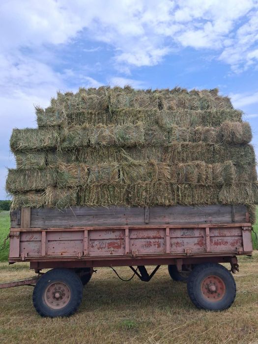 Продам сіно в тюках лугове