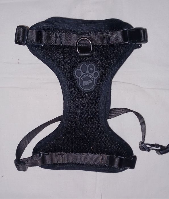 Шлейка на собачку