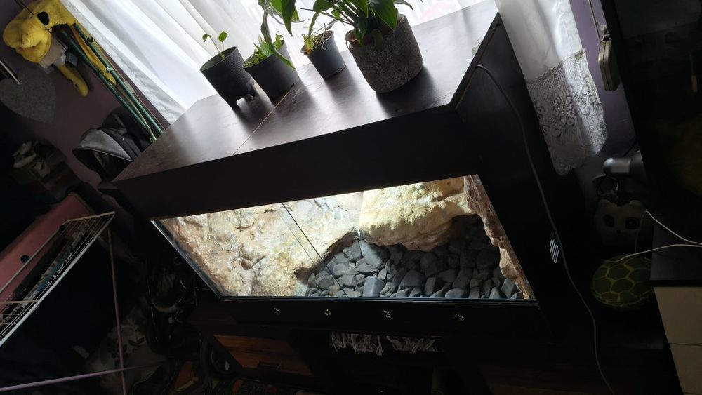 Terrarium z płyty meblowej 125x60x60