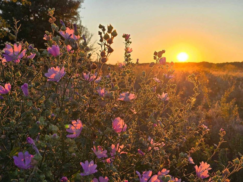 Продам участок 9 сот в коттеджном посёлке Sun Coast Новоалександровка