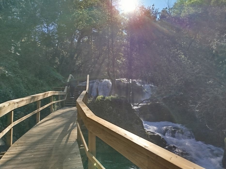 Quinta com casa antiga 7000m2 Pindelo