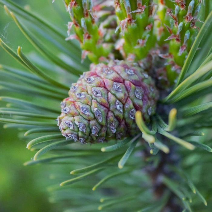 Фотограф та відеограф ДЕШЕВО