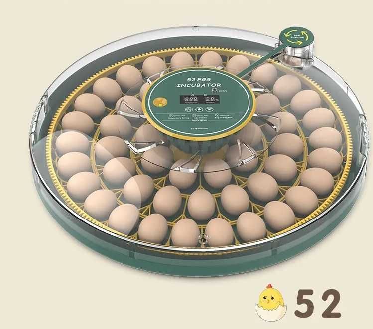 Inkubator do jaj automatyczny z wyświetlaczem wilgotności OVOstart 52