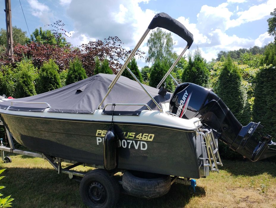 Motorówka Pegasus 460