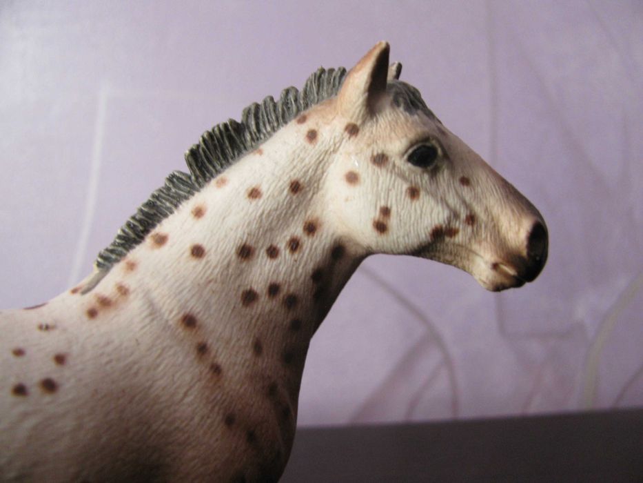 SCHLEICH - Koń, ogier KNABSTRUPPER 13689 z 2010 r. - Kolekcjonerska