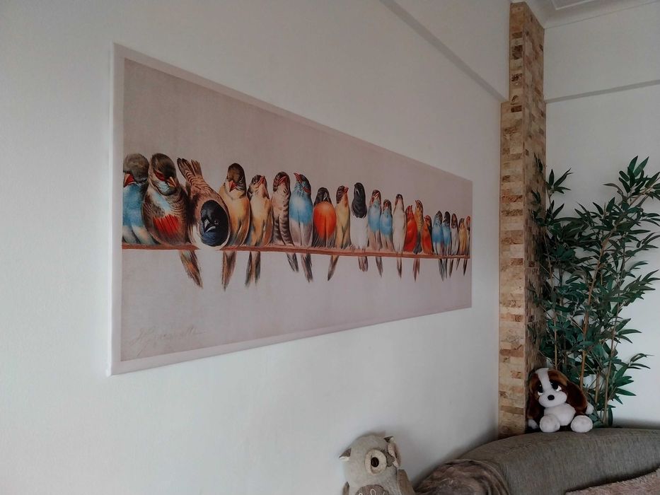 Quadro/tela com aves/pássaros