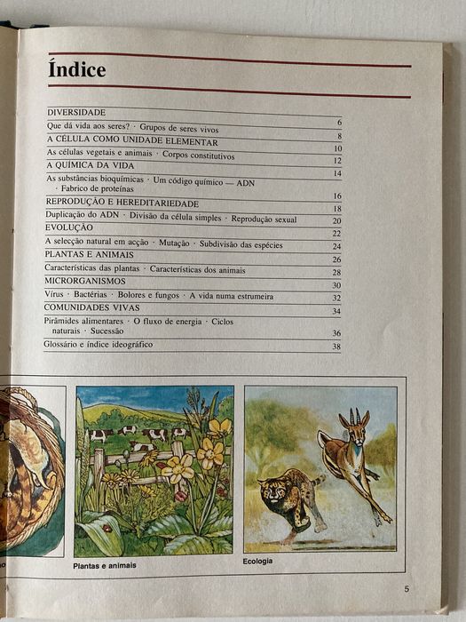 Livro Biologia – Plantas, Animais e Ecologia, de Ifor Evans (Anos 80)