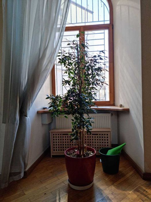 Многокомнатная квартира по адресу Куликово поле пл. (площадь 144 м²) - Atlanta.ua - фото 8