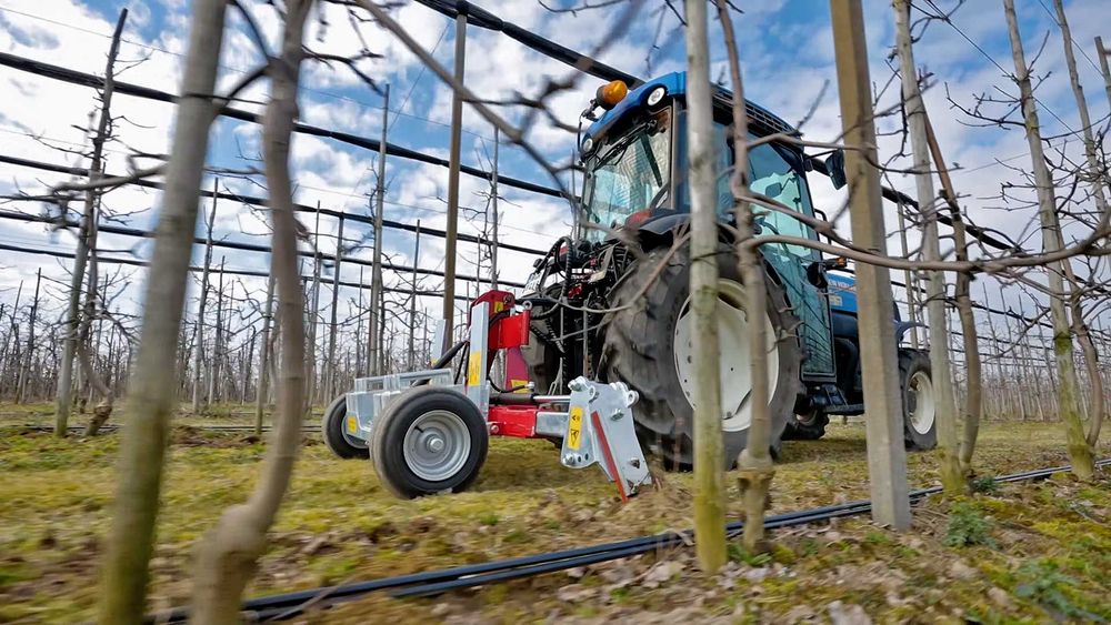 Podcinacz korzeni PKH KRÓLIK l + obsypnik sadowniczy