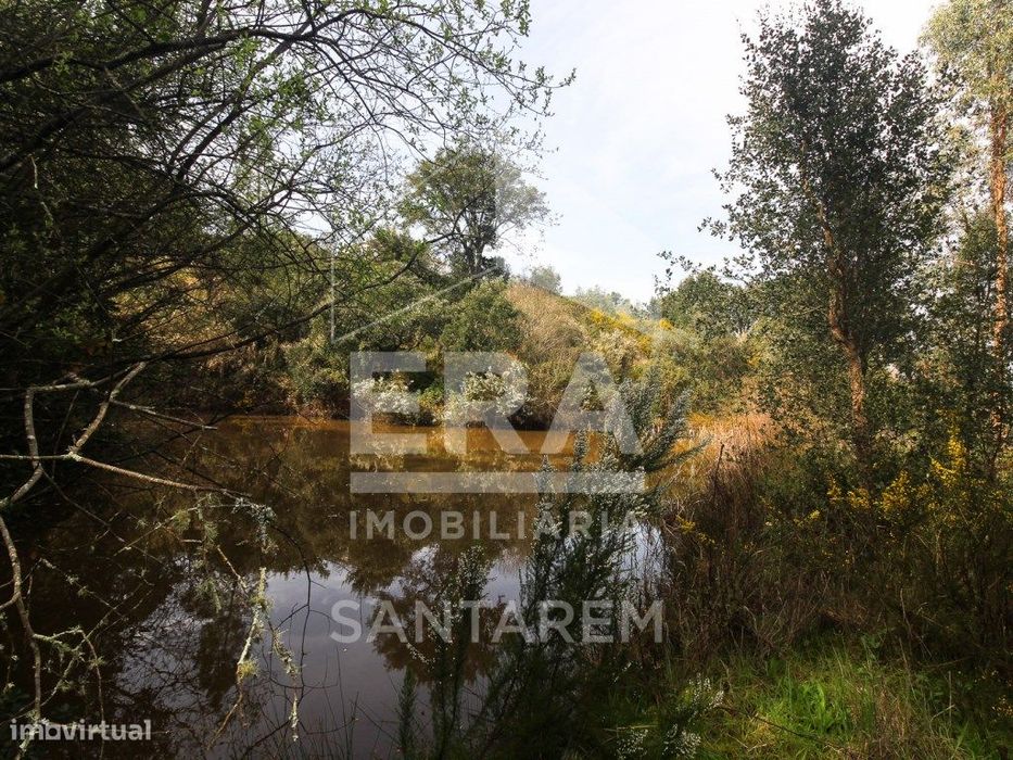 Terreno com cerca de 1 Hectare