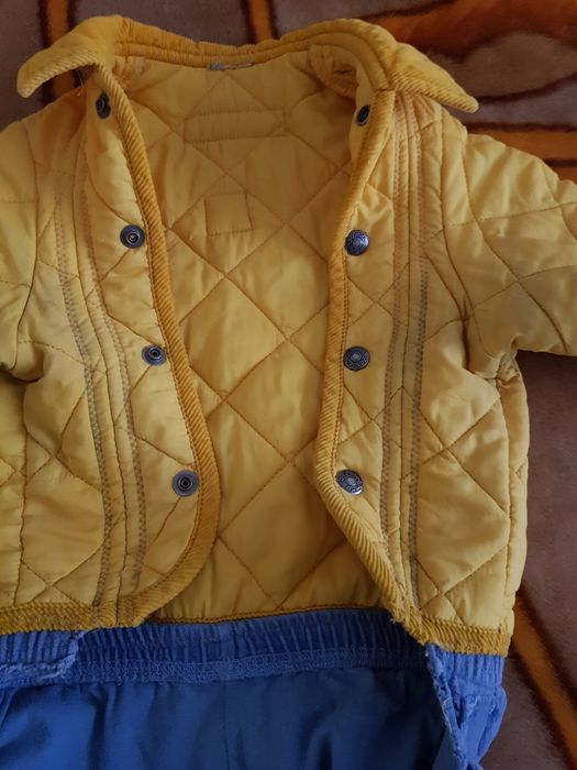 Комбинезон для собаки Италия