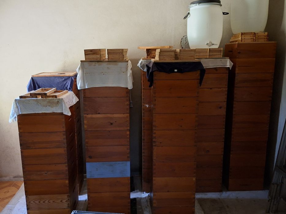 Vendo material apícola