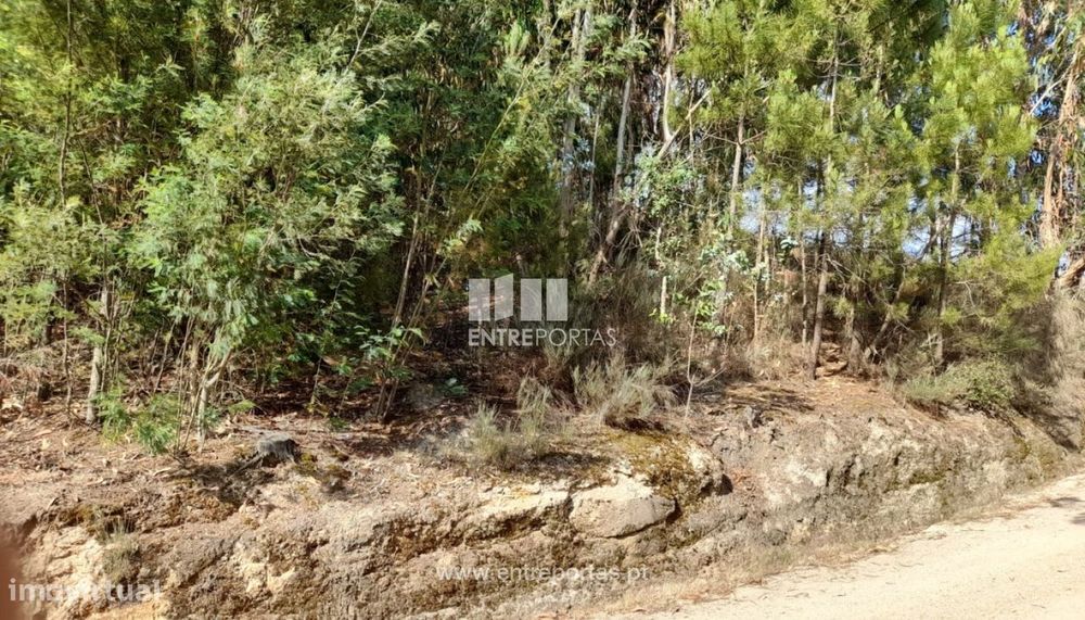 Venda Terreno, Lomba, Amarante