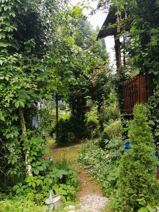 Acapulco Domek Maria,   Radków Góry Stołow.Rezer. tele k.zalewu