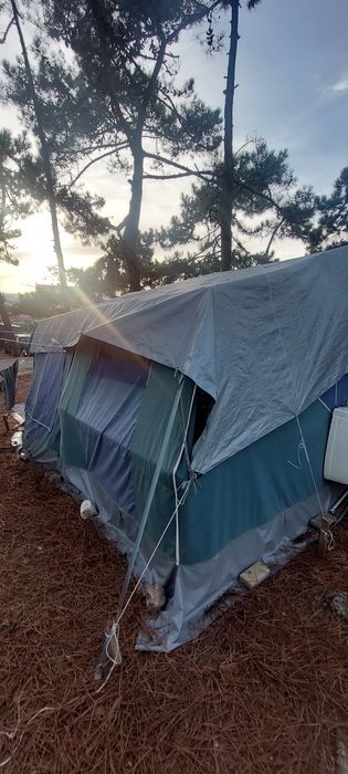 Autotenda saurium