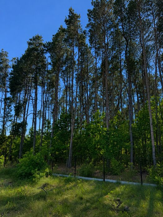Działka 1239 m² | PKP | WZ | Media | Ogrodzona - Widok 3