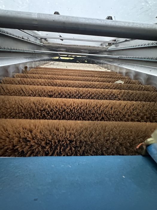 Maquina Lavadora de frutas de escovas e tapete