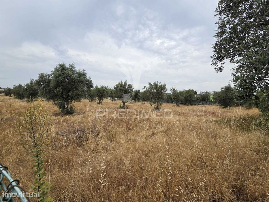 Lote de Terreno