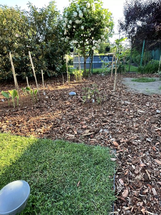 Kora ogrodowa ! Worki 80L ! Transport