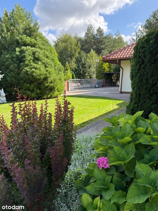 Ogród jak park a w nim piękny, eko dom dostępny od ręki Obniżka ceny