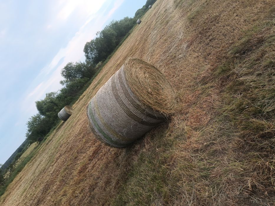 Sprzedam siano sezon 2025