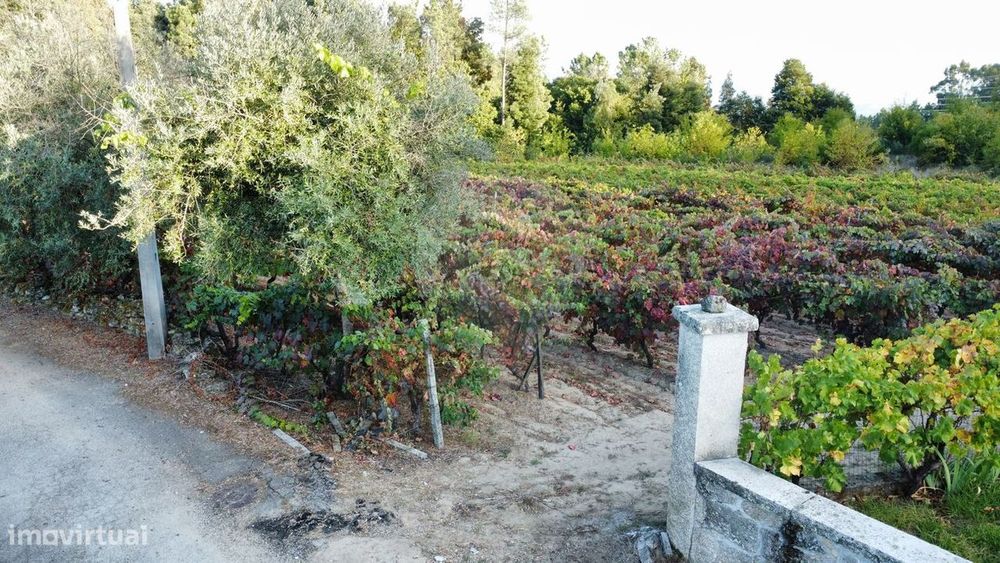 Terreno  para venda