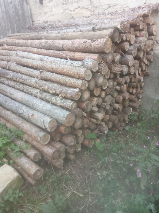 Słupki kołki koły ogrodzeniowe, stemple budowlane. Cena od: