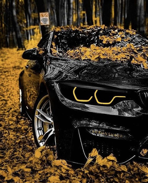 Авто на прокат подобово