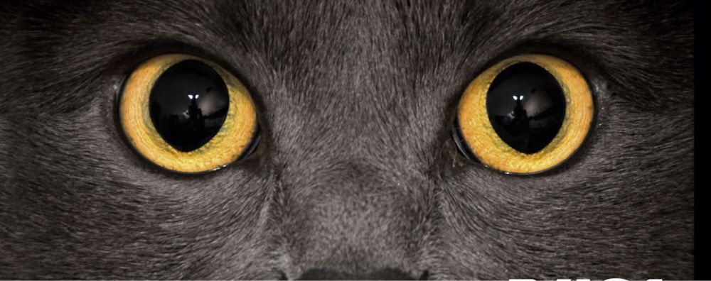 Mój Motywator/Tarot/Wróżka/Doradztwo duchowe oraz życiowe