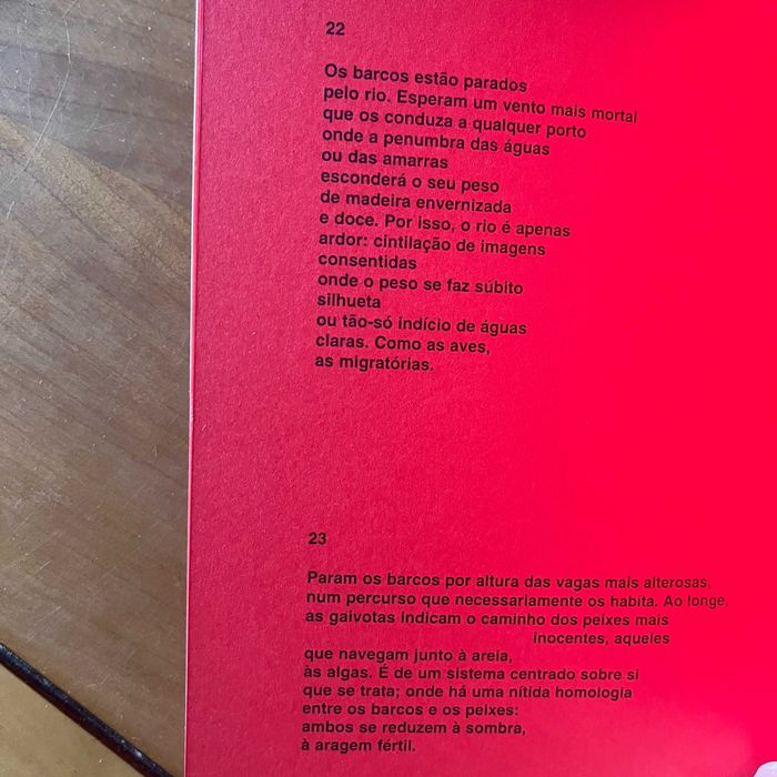 José Fernando Guimarães - O Caminho da Definição
