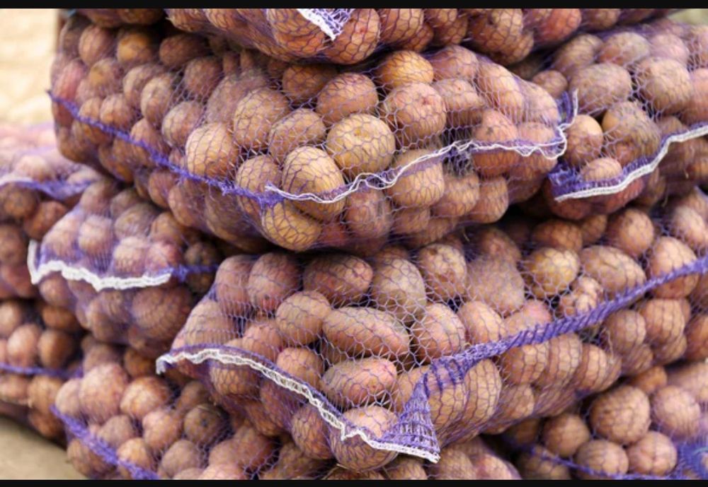 Картошка,капуста,цибуля, морква морковь, яблука буряк,грецкий оре