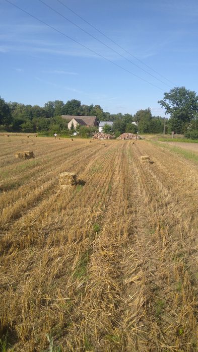 Słoma Siano mała kostka