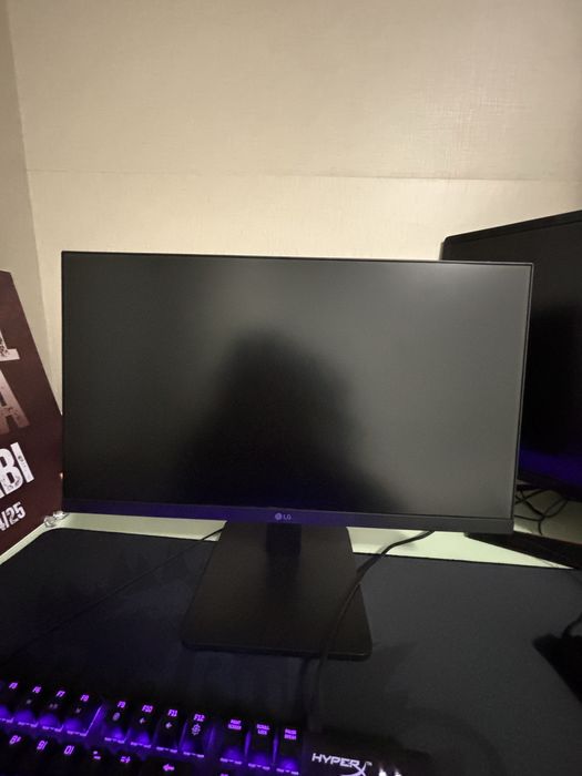 Monitor 100hz 22”