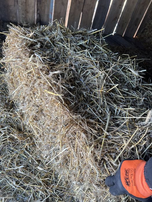 Сіно / є доставка