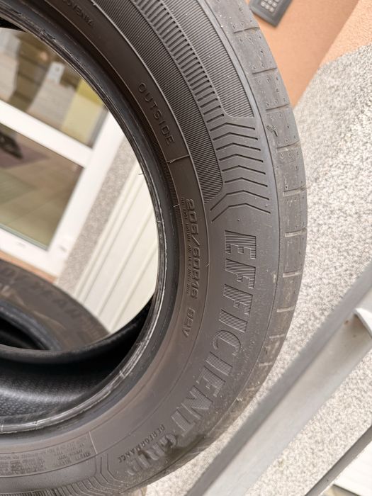 Goodyear EfficientGrip Performance
