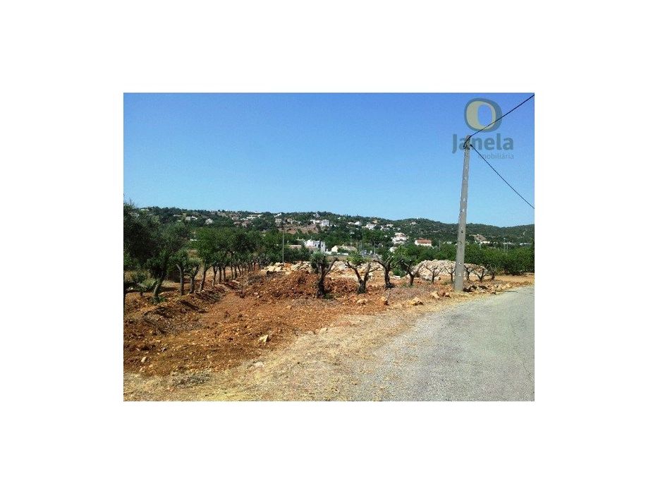 Terreno perto de São Brás de Alportel