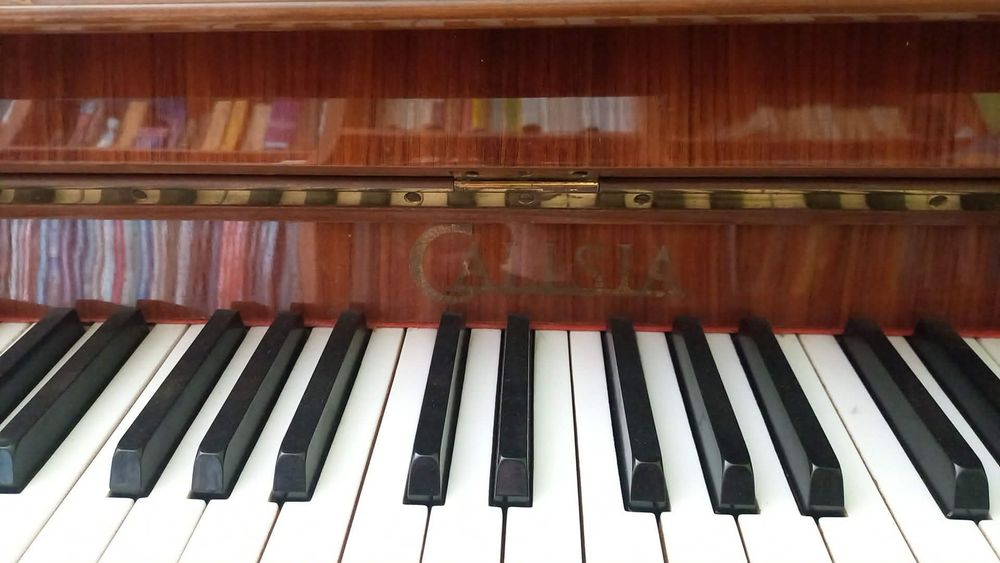 Zadbane Pianino Calisia