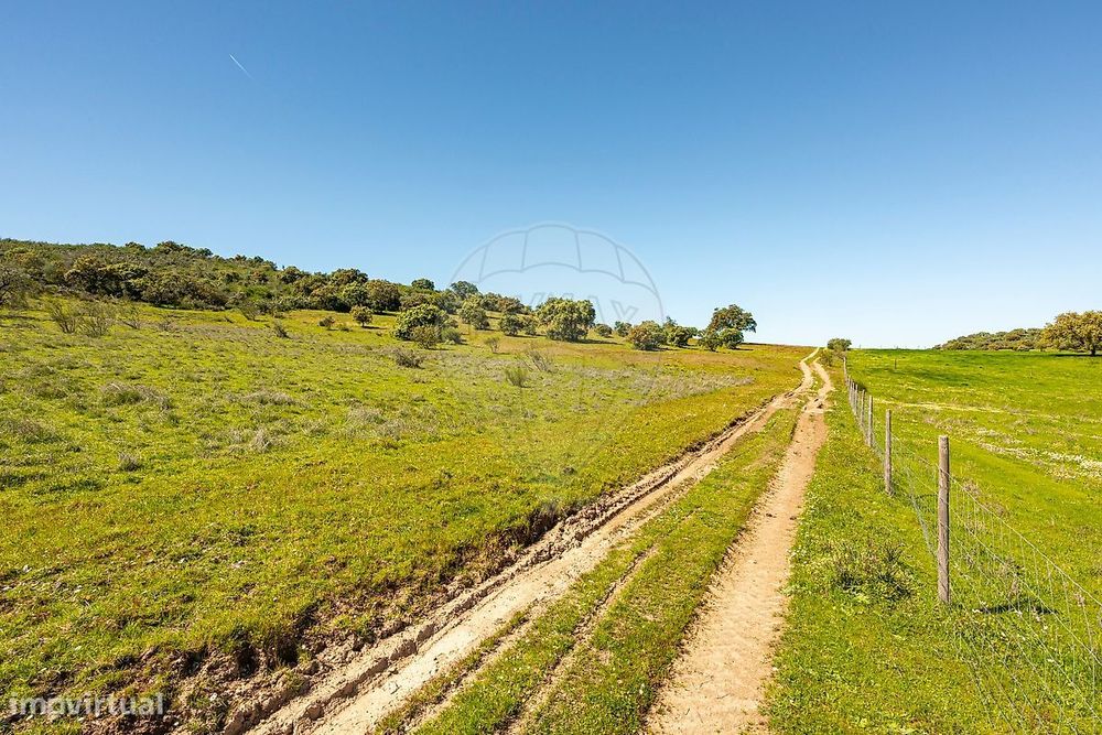 Terreno  para venda