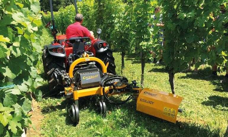 Inter Cepas Orizzonti Orion J